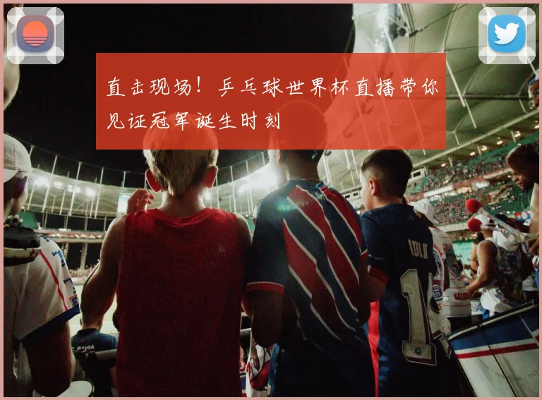 直击现场！乒乓球世界杯直播带你见证冠军诞生时刻
